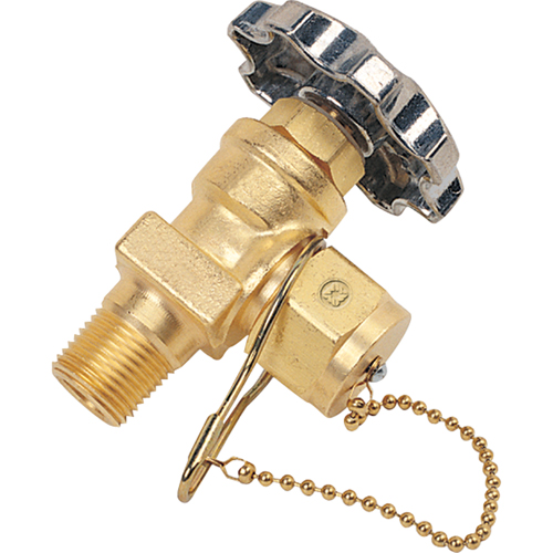 Station Valve with Dust Cap & Chain, Brass Absolute Business Supply