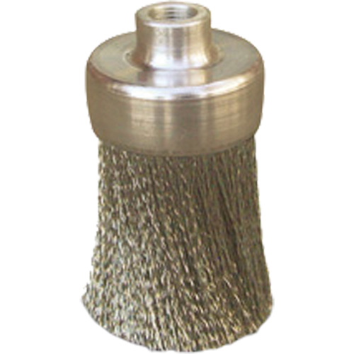 Brosses plates, rondes ou Roto Absolute Business Supply