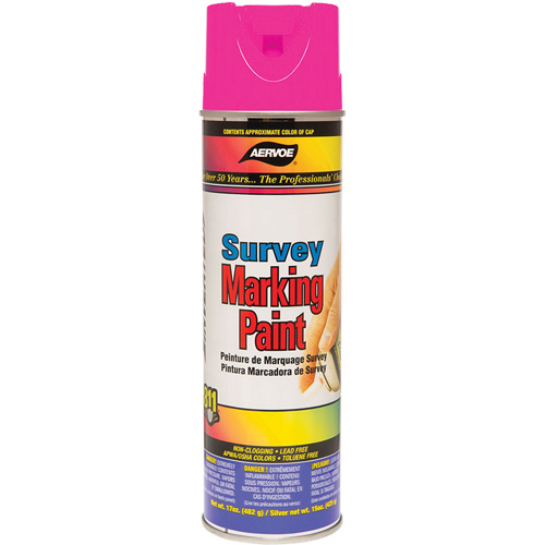 Solvent-Based Marking Paint, 17 oz., Aerosol Can Absolute Business Supply