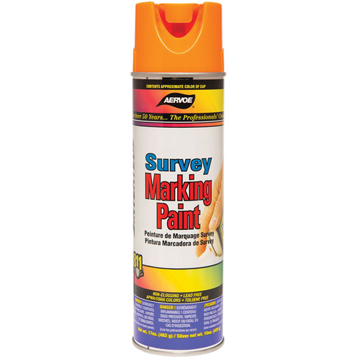Solvent-Based Marking Paint, 17 oz., Aerosol Can Absolute Business Supply