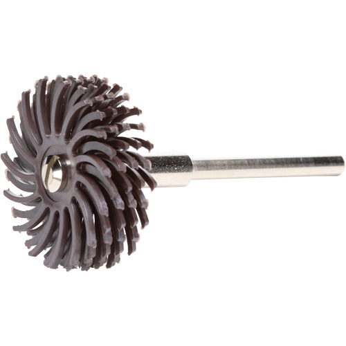 Scotch-Brite Radial Bristle Discs, Ceramic, 36X Grit, 1" Dia. Absolute Business Supply