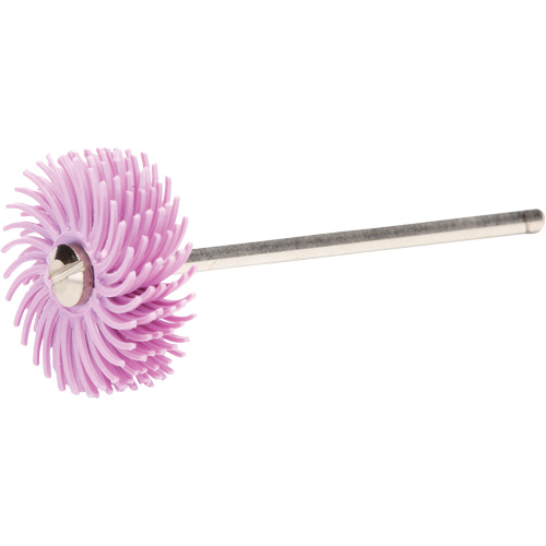 Scotch-Brite Radial Bristle Discs, Pumice Grit, 3/4" Dia. Absolute Business Supply