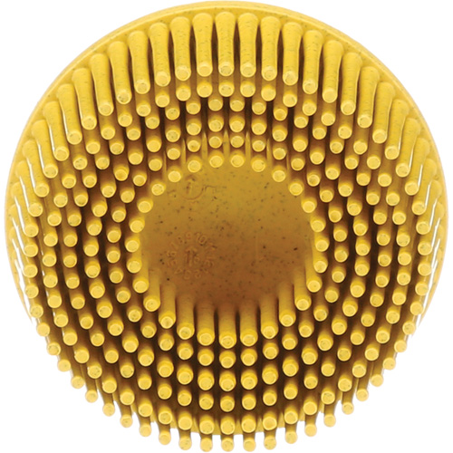 Scotch-Brite Roloc Bristle Discs, 80 Grit, 2" Dia. Absolute Business Supply