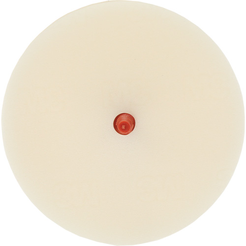Scotch-Brite Moulding Adhesive & Stripe Removal Disc, 7501, 4" Dia. Absolute Business Supply