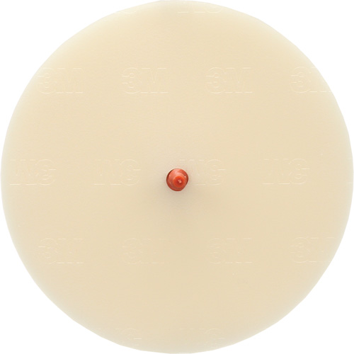 Scotch-Brite Moulding Adhesive and Stripe Removal Disc 7502, 6" Dia. Absolute Business Supply
