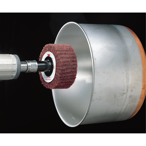 Brosses &agrave; lamelles Scotch-Brite Absolute Business Supply