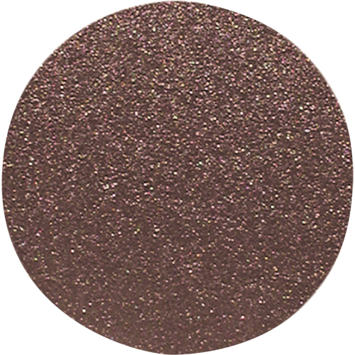 Disque de ponçage pour le bois, 12" dia., Grain 120 Absolute Business Supply