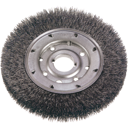 Crimped Wire Wheel Brushes - Medium Face, 10" Dia., 0.0118" Fill, 2" Arbor Absolute Business Supply