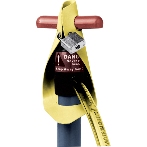 Strap Locks Absolute Business Supply