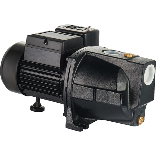 Pompe &agrave; jet en fonte &agrave; double tension pour puit peu profond, 115 V/230 V, 1100 gal./h, 1 CV Absolute Business Supply