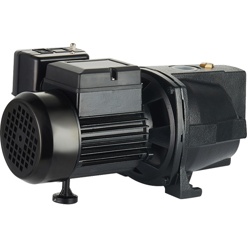 Pompe &agrave; jet en fonte &agrave; double tension pour puit peu profond, 115 V/230 V, 1100 gal./h, 1 CV Absolute Business Supply