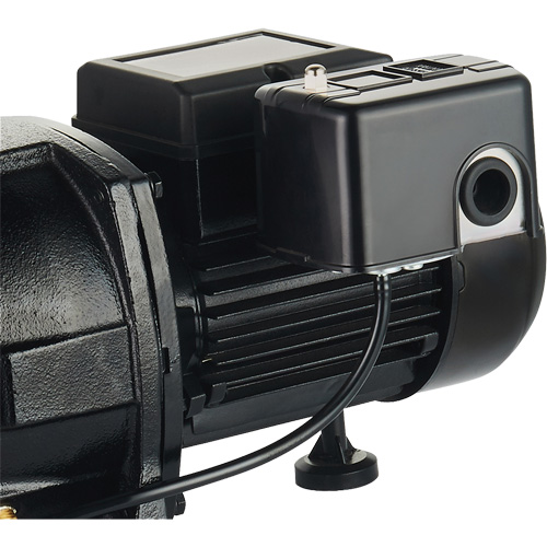 Pompe &agrave; jet en fonte &agrave; double tension pour puit peu profond, 115 V/230 V, 1100 gal./h, 1 CV Absolute Business Supply