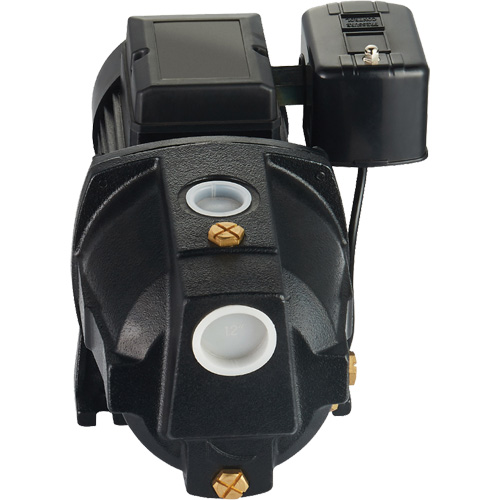 Pompe &agrave; jet en fonte &agrave; double tension pour puit peu profond, 115 V/230 V, 1100 gal./h, 1 CV Absolute Business Supply