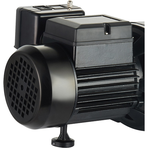 Pompe &agrave; jet en fonte &agrave; double tension pour puit peu profond, 115 V/230 V, 1100 gal./h, 1 CV Absolute Business Supply