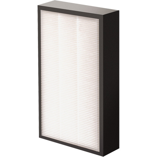 V&eacute;ritables filtre HEPA AeraMax Pro AM2 1-3/4", Boîte, 7,38" la x 1,88" p x 12,88" h Absolute Business Supply