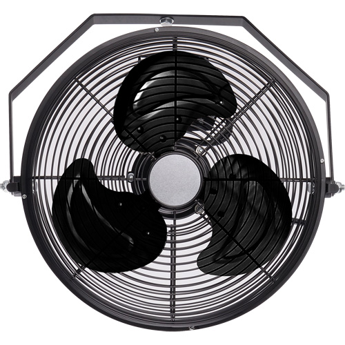 Ventilateur industriel pour poste de travail, Industriel, 3 vitesses, Diam&egrave;tre de 12" Absolute Business Supply