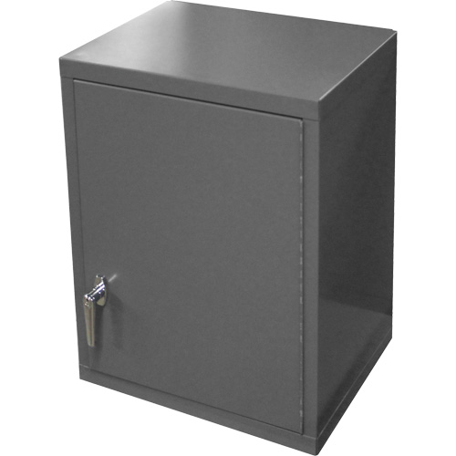 Armoire murale, 27" h x 13-11/16" la x 18" p, 2 tablettes, Acier, Gris Absolute Business Supply