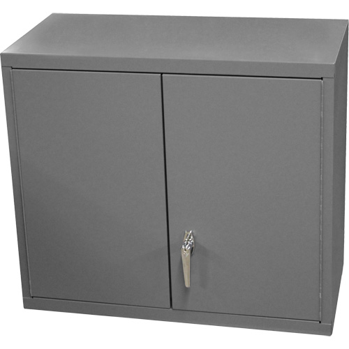 Wall-Mounted Cabinet, 27" H x 13-11/16" W x 35-7/8" D, 2 Shelves, Steel, Grey Absolute Business Supply