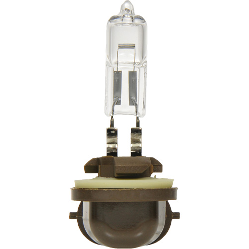 886 Basic Fog Light Bulb, Halogen, 50 W, Off White Absolute Business Supply