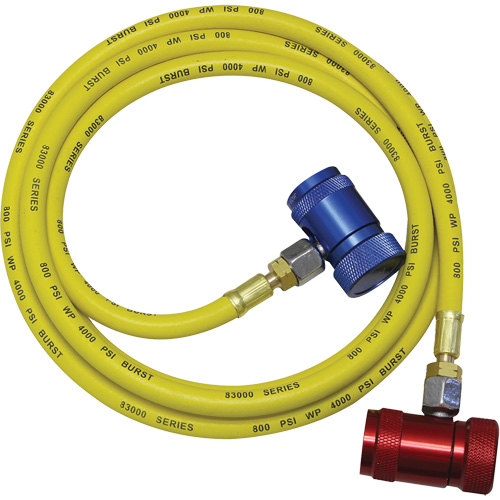 Ensemble flexible de rinçage pour syst&egrave;me de climatisation R1234yf Absolute Business Supply