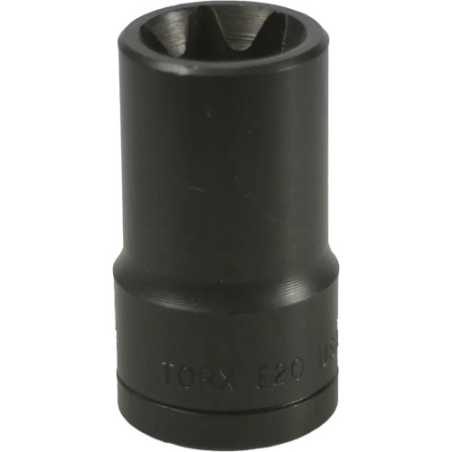 E-20 Torx&reg; Socket Absolute Business Supply
