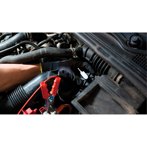 Tall Frame Brake-Pro Pressure Brake Bleeder with Adapters Absolute Business Supply