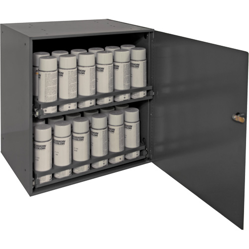 Aerosol Storage Cabinet, Steel, 21-7/8" H x 15-15/16" W x 20-5/16" D, Grey Absolute Business Supply