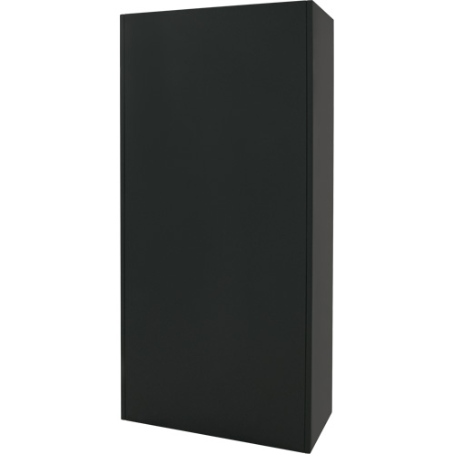 Armoire de rangement combin&eacute;e, 36" la x 18" p x 72" h, Noir Absolute Business Supply