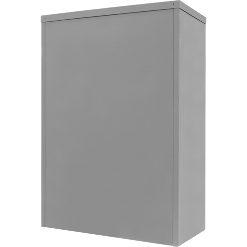 Counter-High Storage Cabinet, Steel, 2 Shelves, 42" H x 30" W x 15" D, Grey Absolute Business Supply