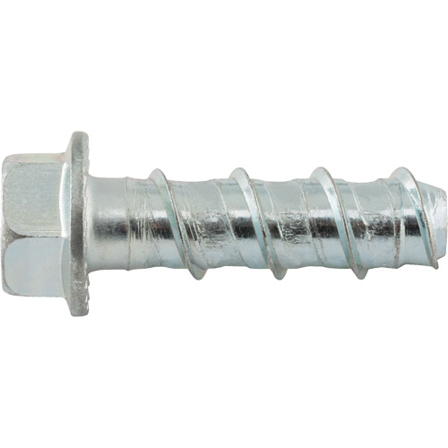 Wedge Bolts, Carbon Steel, 1/2" x 2" Absolute Business Supply