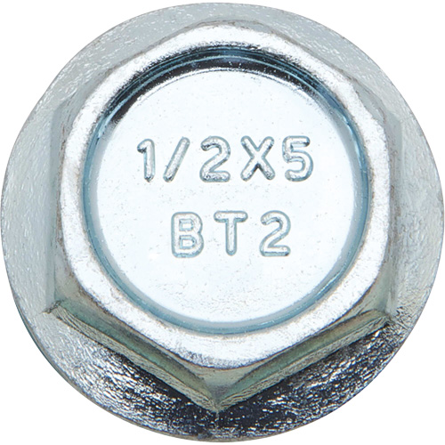 Wedge Bolts, Carbon Steel, 1/2" x 2" Absolute Business Supply