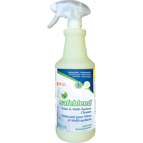 Fragrance-Free Glass & Multi-Surface Cleaner, 950 ml, Trigger Bottle Absolute Business Supply