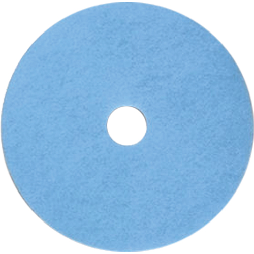 Floor Maintenance Pads, 19", Burnishing, Blue Absolute Business Supply