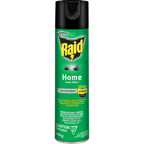 Insecticide pour insectes domestiques Raid, 350 g, &agrave; base de solvant Absolute Business Supply