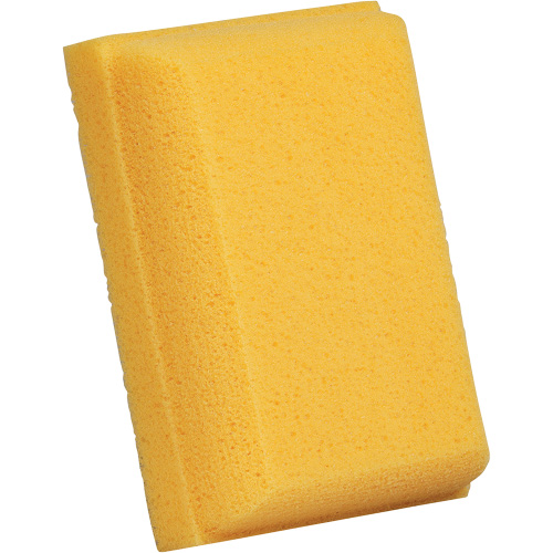 &eacute;ponge &agrave; coulis, Coulis, 5" la x 7" l Absolute Business Supply