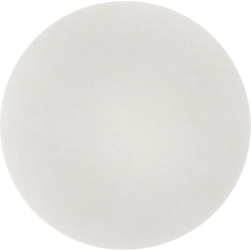 Carpet Bonnet Pad, 19", Cleaning, White Absolute Business Supply