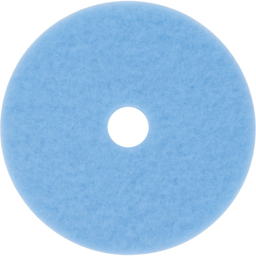 Hi-Performance Pad, 19", Burnishing, Light Blue Absolute Business Supply