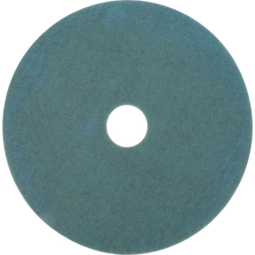Floor Pad, 17", Burnishing, Aqua Absolute Business Supply