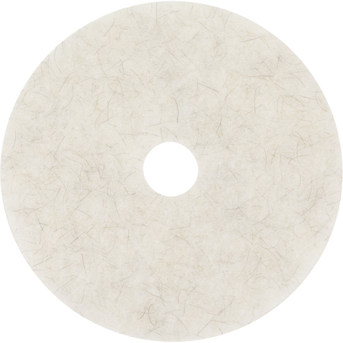 Natural Blend Pad, 17", Burnishing, White Absolute Business Supply