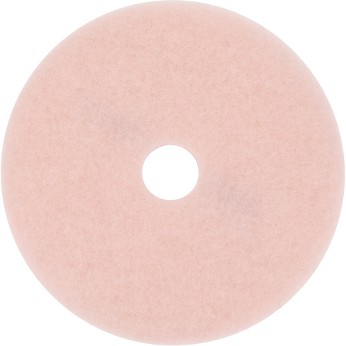 Hi-Performance Pad, 17", Burnishing, Pink Absolute Business Supply