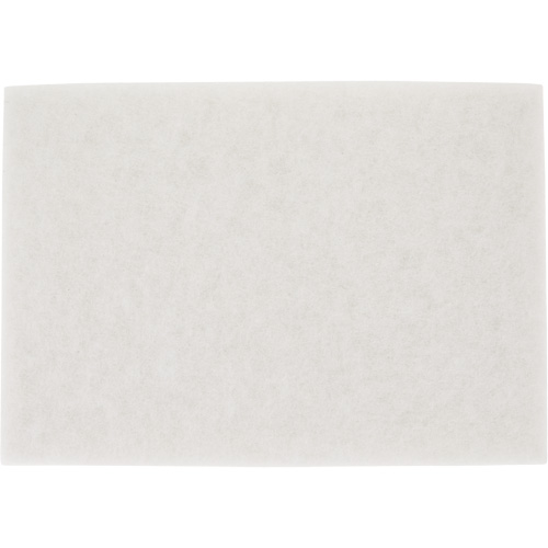 Tampon pour planchers TopLine Speed, 14" x 20", Lustrage/Nettoyage/Polissage, Blanc Absolute Business Supply