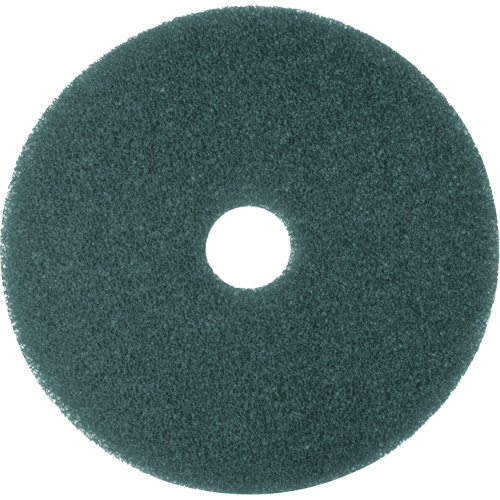 Hi-Performance Pad, 11", Cleaning/Scrubbing, Blue Absolute Business Supply