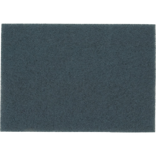 Tampon pour planchers, 14" x 20", Nettoyage/&agrave; r&eacute;curer, Bleu Absolute Business Supply