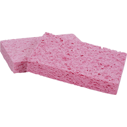 Scotch-Brite Sponge, Cellulose/Grouting/Scrubbing, 3-2/3" W x 6" L Absolute Business Supply