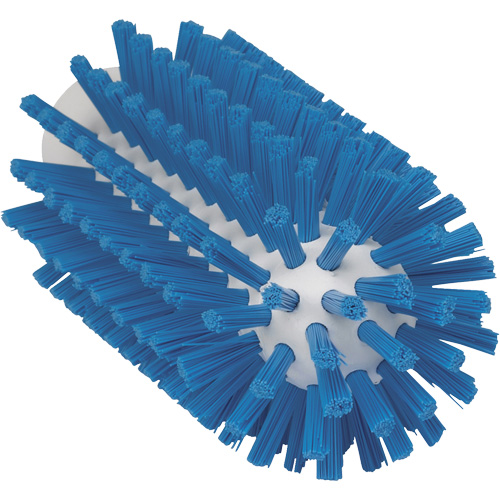 2.5" Brush, Stiff Bristles, 5-3/5" Long, Blue Absolute Business Supply