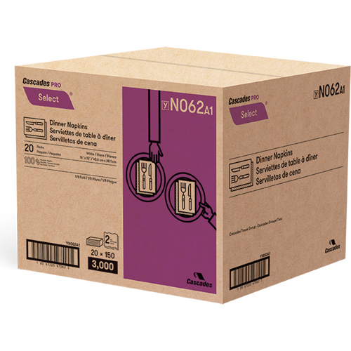 Pro Select&reg; 1/8 Fold Dinner Napkin, 2 Ply, 15" x 16" Absolute Business Supply