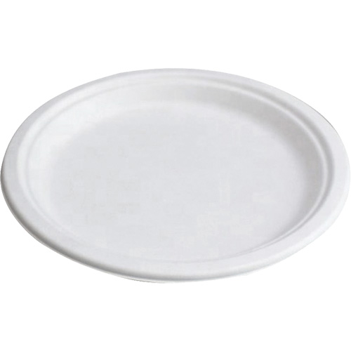 Compostable Plates Absolute Business Supply
