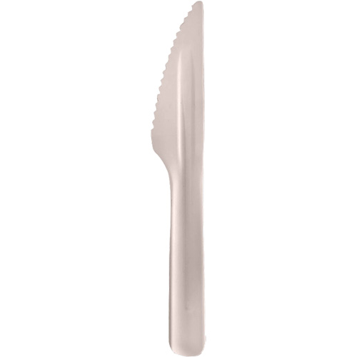 Bagasse Compostable Knives Absolute Business Supply