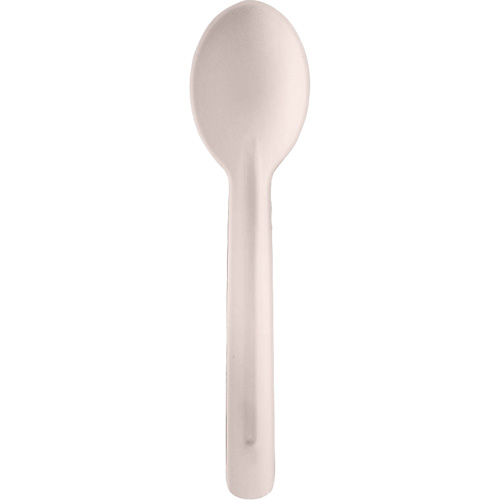 Bagasse Compostable Spoons Absolute Business Supply