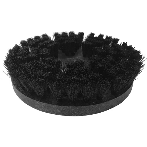 Light-Duty Cleaning Brush Absolute Business Supply